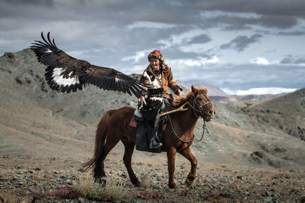Традиционная монгольская охота с беркутом