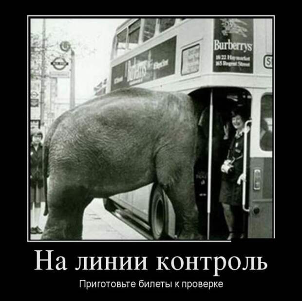 Демотиваторы (30 фото) Демотиваторы (30 фото)