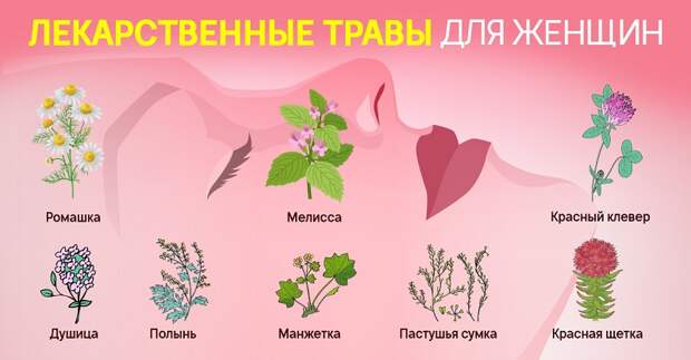 Какие травы необходимы женщинам