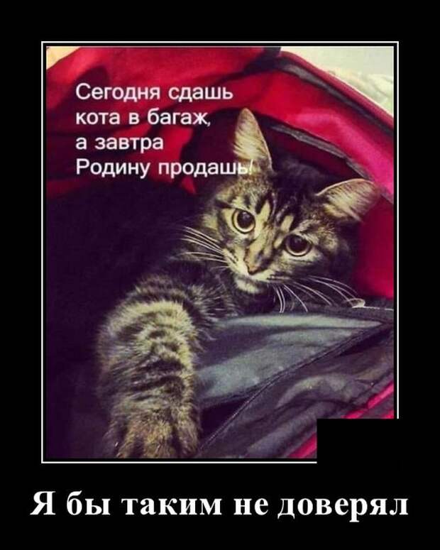 Демотиваторы (20 фото)