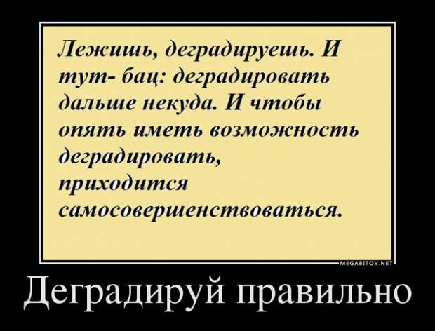 ДЕМОТИВАТОРЫ 13.09.2014