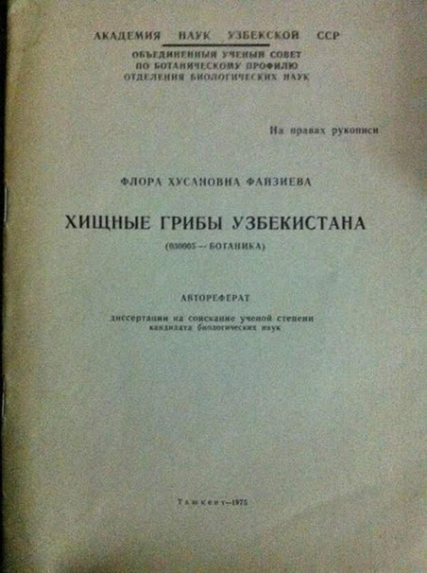 Перлы