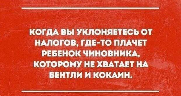 ЭТИ ФРАЗЫ НЕСОМНЕННО ПОДНИМУТ ВАШЕ НАСТРОЕНИЕ
