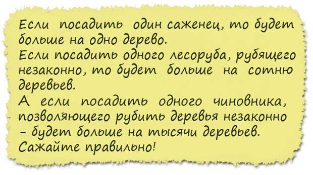 Действительно лучший друг человека — собака. Не верите?