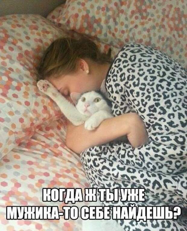 изображение: Когда ж ты уже мужика то себе найдёшь? #Котоматрицы