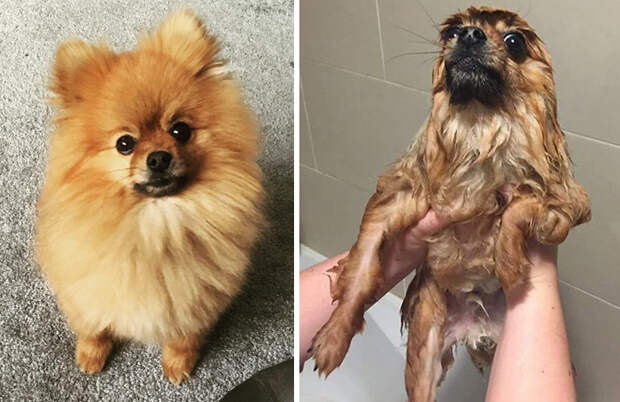 Before Vs. After Bath