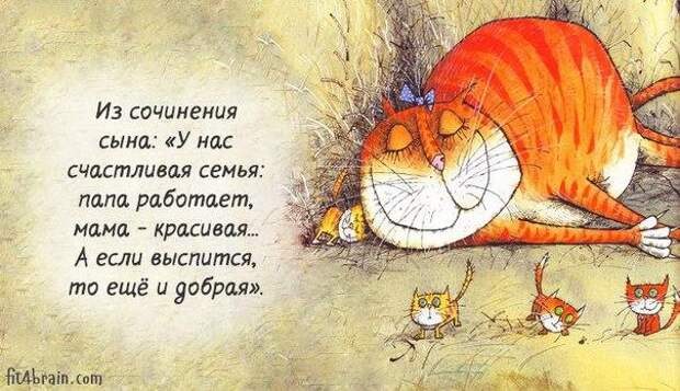 https://pp.vk.me/c7011/v7011946/ee7a/aWysBmMxWMw.jpg