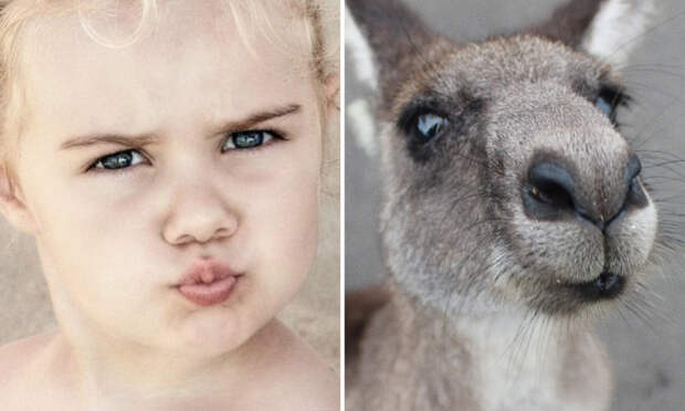 15 фотографий, на которых дети и животные выражают эмоции совершенно одинаково дети, животные, эмоции
