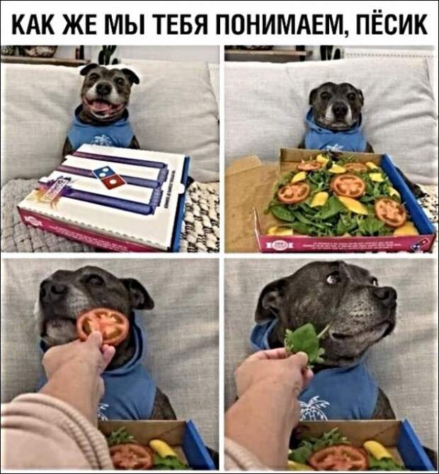 Картинки с надписями и анекдоты
