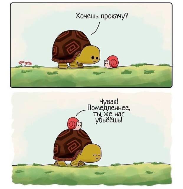 Комментарии и картинки из соцсетей