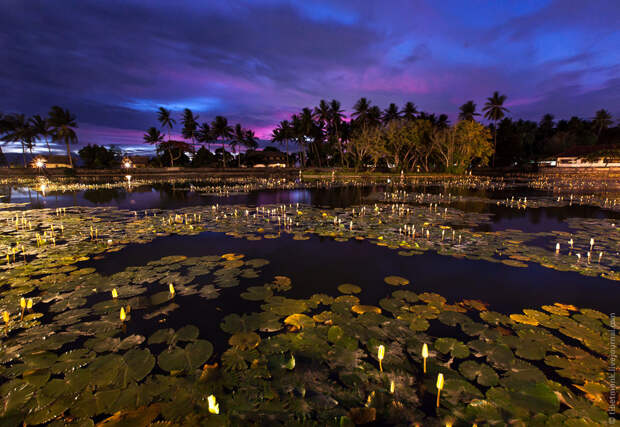 Lotus Lake