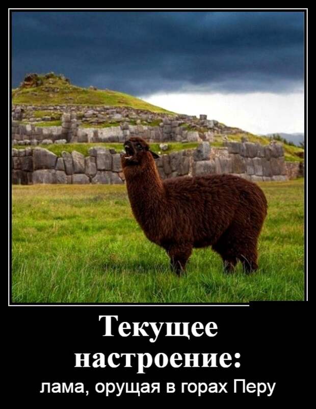 Демотиваторы (30 фото)