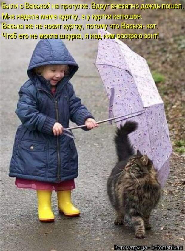 Свежая и прикольная котоматрица (32 фото)