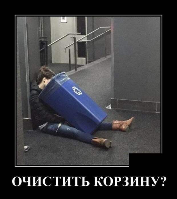 Демотиваторы, смотреть и поднимать настроение