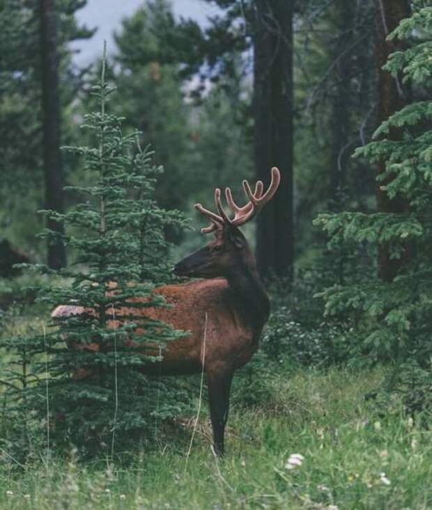 Фото любителей путешествий из соцсетей (50 фото)