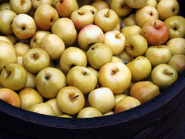 Для мочения яблок лучше использовать деревянные кадки