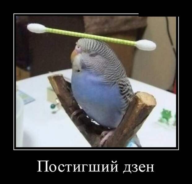 Демотиваторы