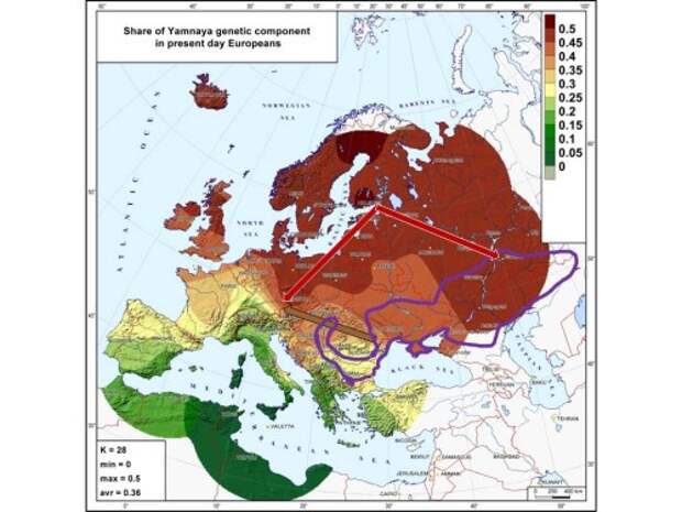 Рис. 2. Распределение «ямного» генетического компонента в населении Европы (данные взяты из работы Haak 2015). Интенсивность цвета соответствует вкладу этого компонента в разные современные популяции- шкала интервалов дана справа. Сиреневая линия – границы ямной культуры. Сиреневые стрелки показывают направление миграции, постулированное сторонниками ямного происхождения индоевропейцев Европы. Красные стрелки показывают направление движения «ямного» компонента в соответствии с градиентом представленного распределения. Карта выполнена О. П. Балановским. 1_Klein Figure 2
