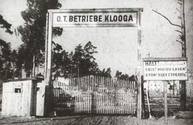 Прибалтийские легионы СС:позор вместо истории побед