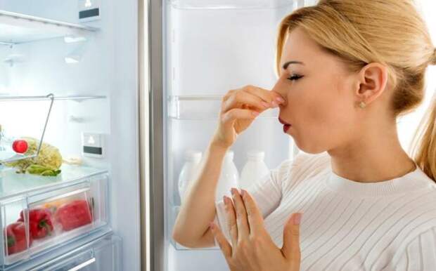 Соль эффективно устраняет неприятные запахи в холодильнике / Фото: vsyachyna.com