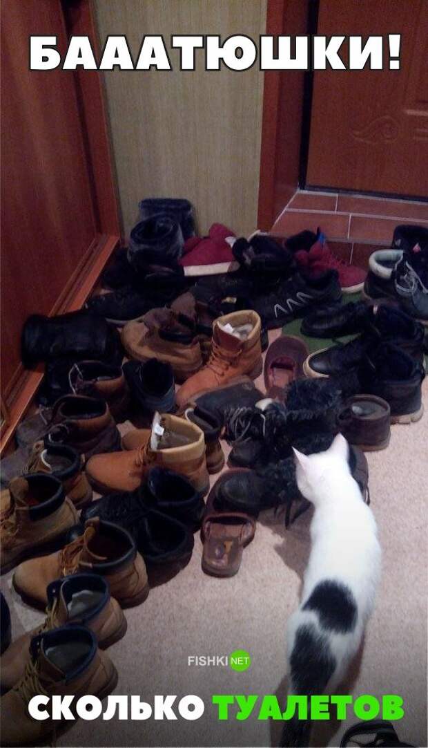 30 позитивных картинок, которые скрасят ваш  день картинки, прикол, юмор