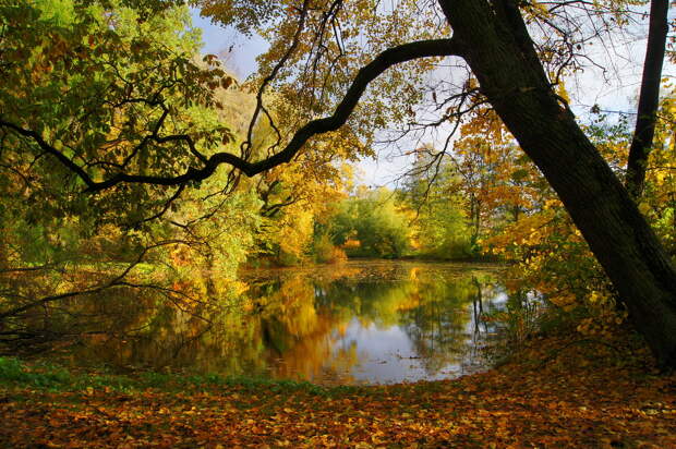 Октябрь DSC06362.JPG