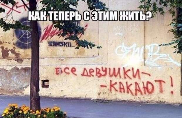 Так себе картинки