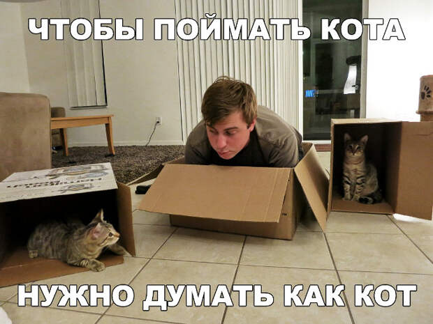 изображение: Чтобы поймать кота, нужно думать как кот #Котоматрицы