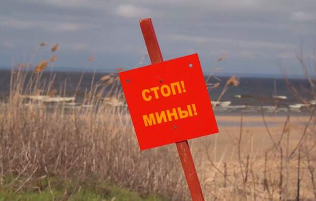 Командир взвода Самурай: в Косовцево обнаружены заминированные телефоны