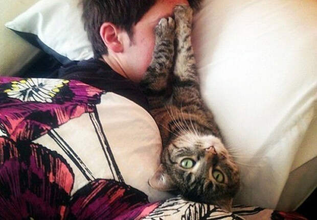 9xGsWG6ryNg (600x418, 188Kb)