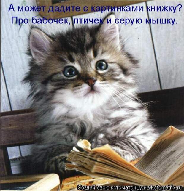 Мысли вслух :)