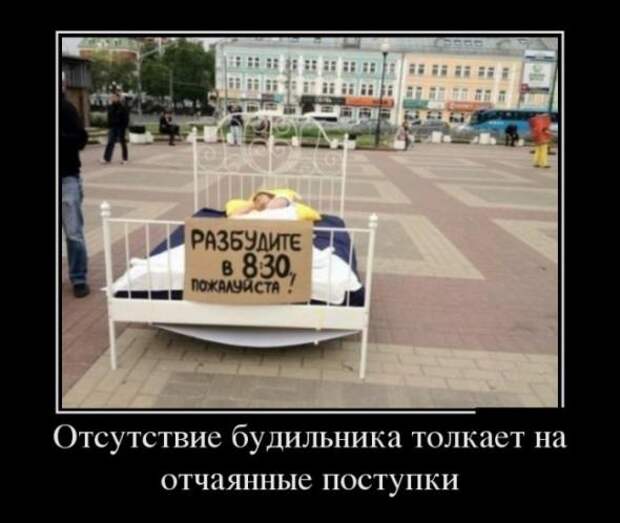 Немного новых демотиваторов