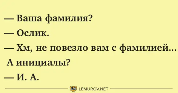 Ваша фамилия. Ослик фамилия. Ваша фамилия ослик. Ваше ФИО анекдот. А фамилия ваша как.