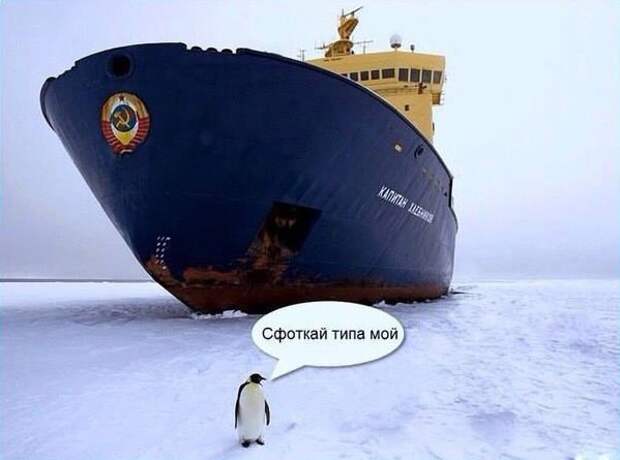 Смешные картинки с надписями прикол, юмор