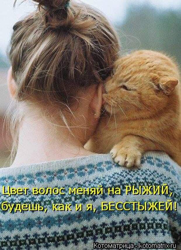 Новая котоматрица (44 шт)
