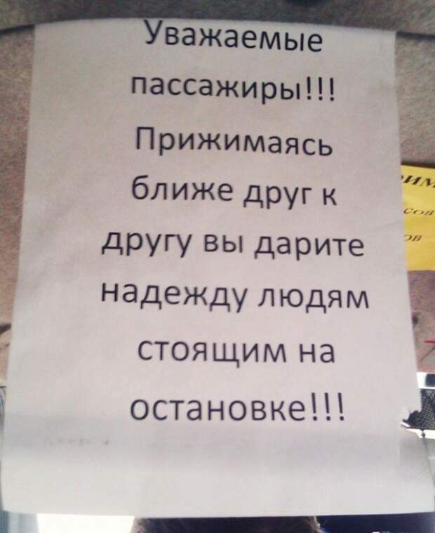 Самые добрые объявления добро, объявление