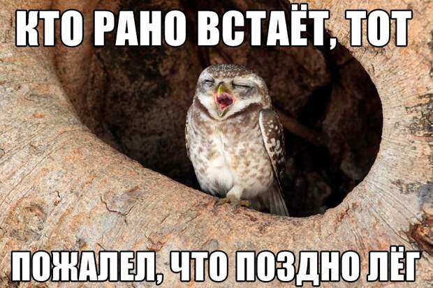 Юмор из интернета17 Юмор из интернета17