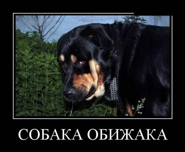www.vsyako.net