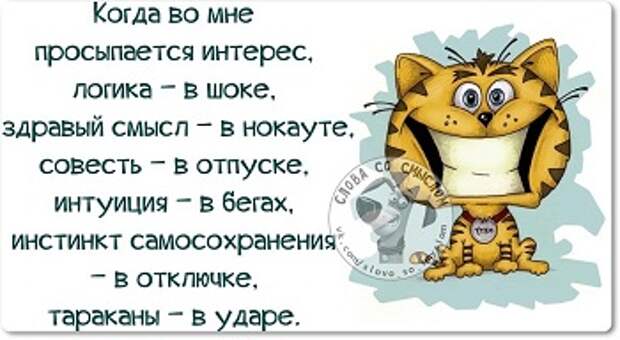 Смешные афоризмы, юмор, приколы