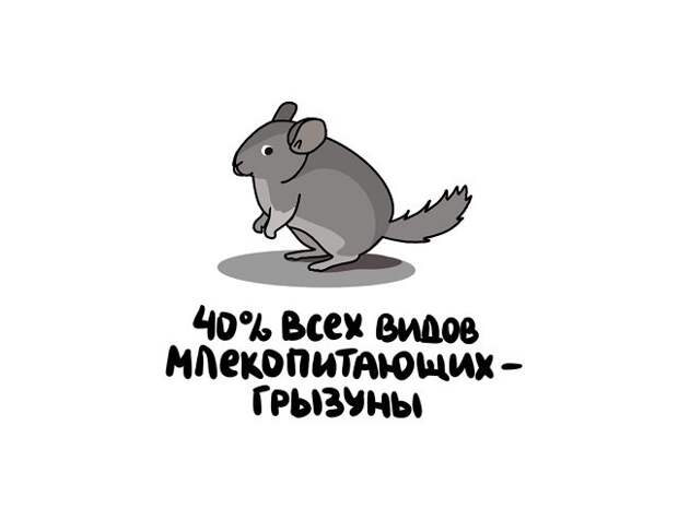 Интересные факты на все случаи жизни