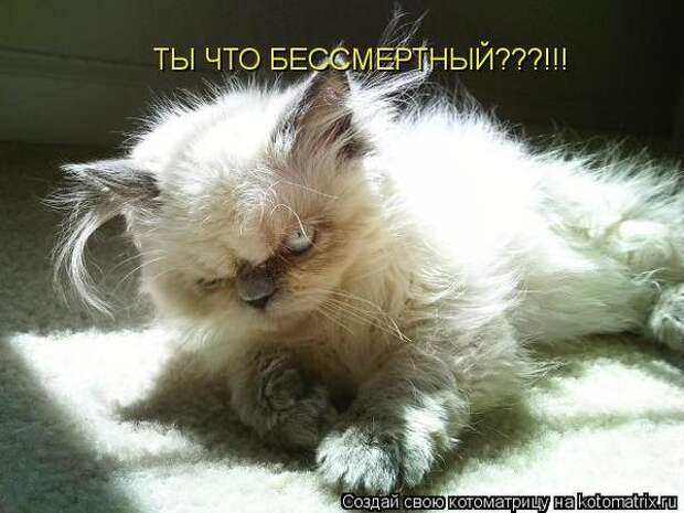 3201191_106206031_3db336526734e255b2a9e72b7dc6b782_94740 (600x450, 135Kb)