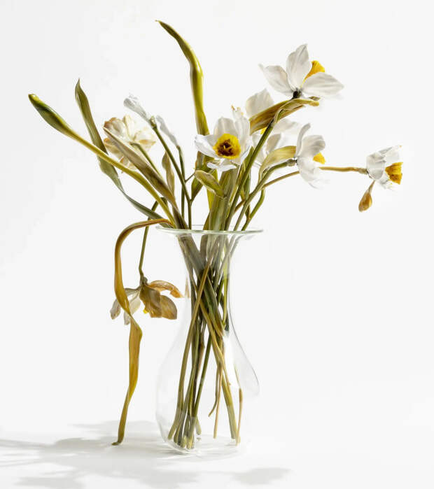 Стеклянный сад. «Живые» цветы Лиллы Табассо