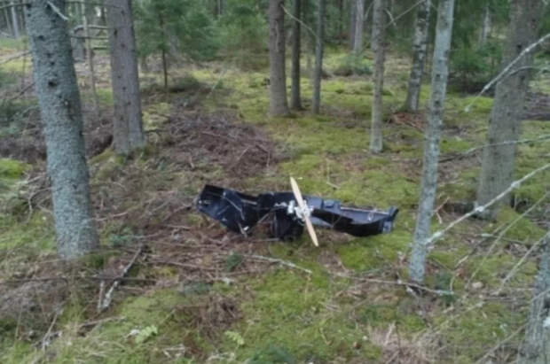 Генерал Попов сказал, откуда запускали упавшие в Финляндии и Эстонии дроны