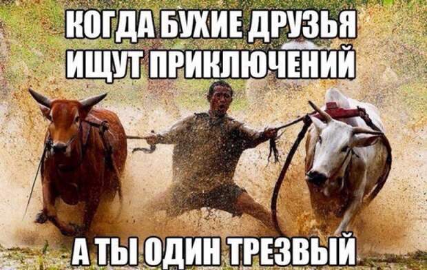 Похожее изображение