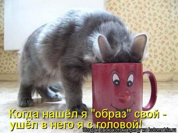 Котоматрицы(картинки с надписями)