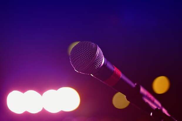 Микрофон. Фото: pixabay.com