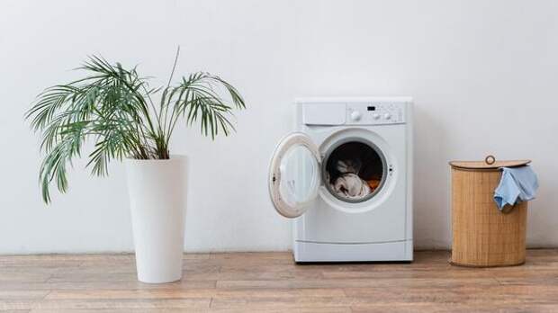 Простые, но эффективные правила: как продлить жизнь вашей стиральной машинки
