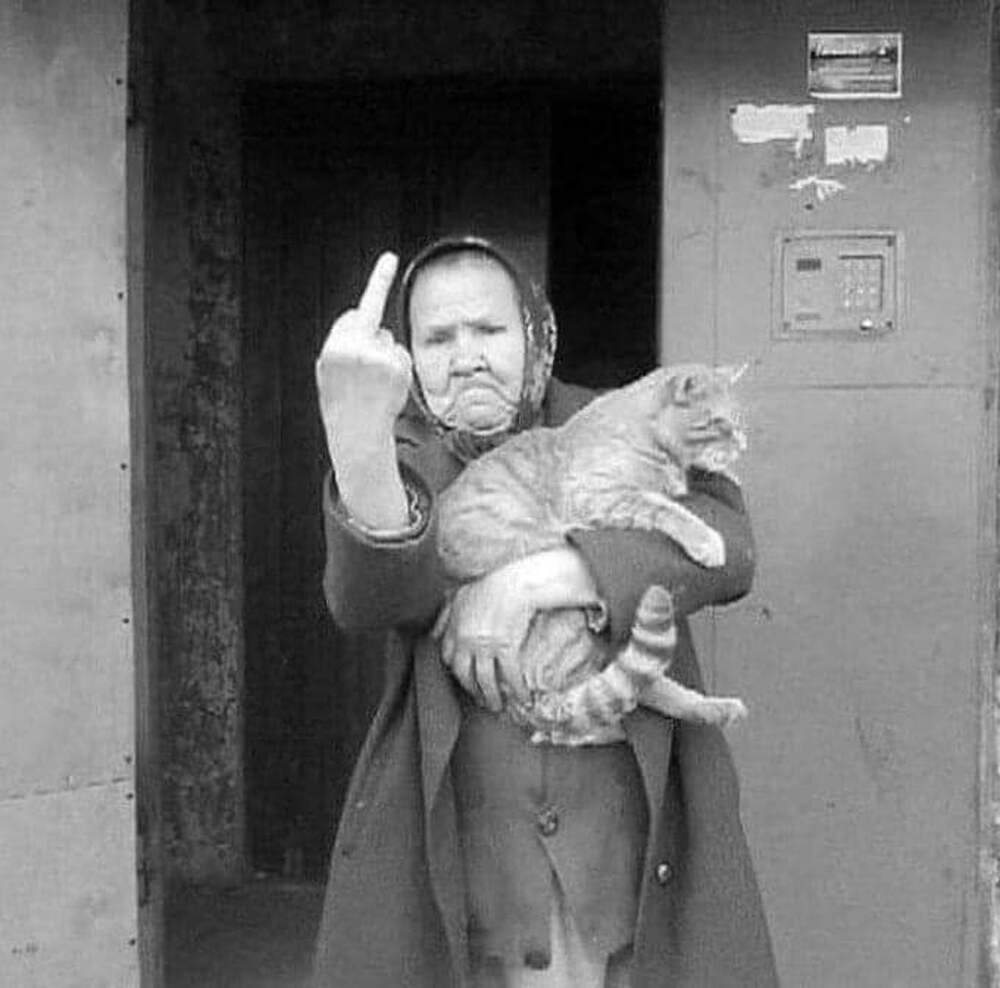 Бабка с котами