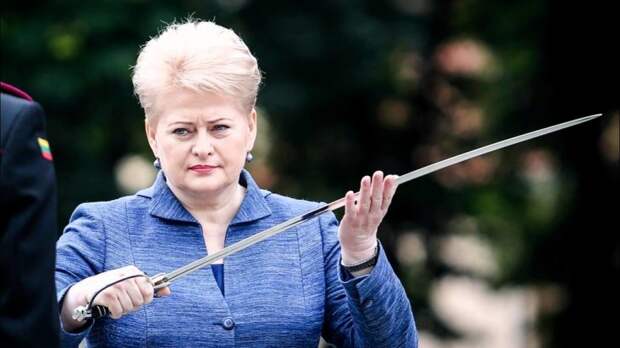 Президент Литвы дала министру обороны
