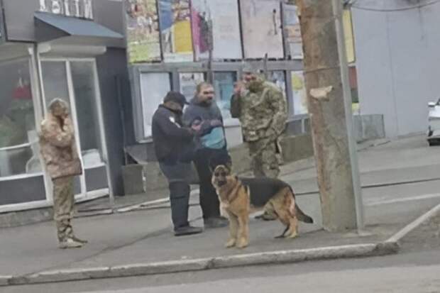 В Днепропетровске шестерых сотрудников ТЦК мужчина разогнал битой, а в Одессе похитили жениха прямо со свадьбы